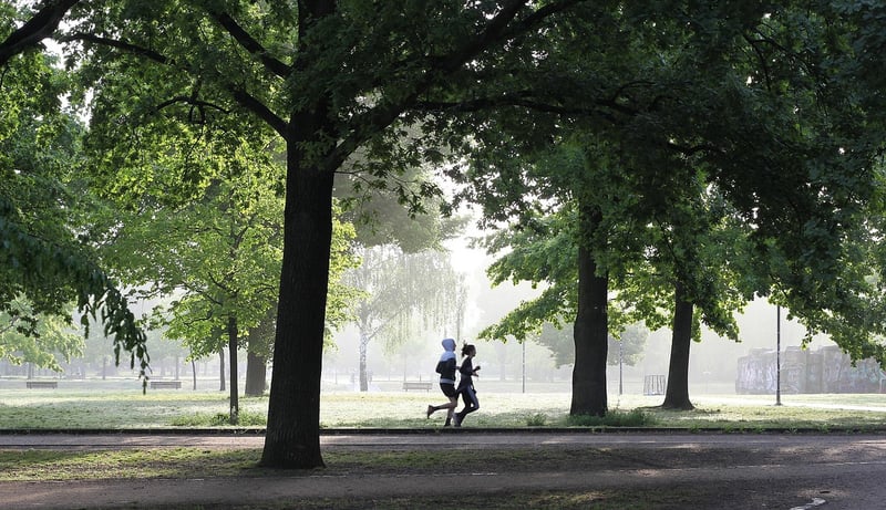 Running in the park